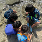 Sail & Splash (Ages 4–5)